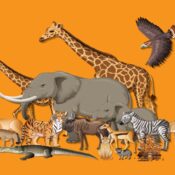 wildlife-africa-big-five