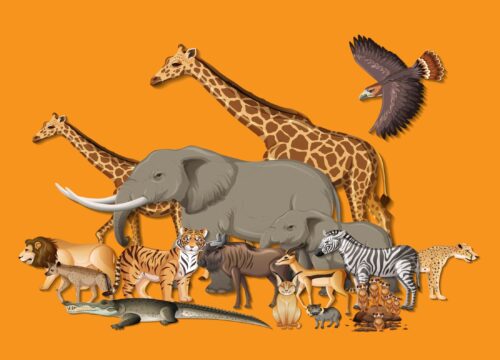The Big Five and Beyond: Exploring African Wildlife.